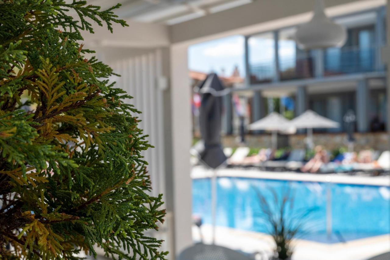 Dionysos Hotel & Suites Chaniotis Extérieur photo