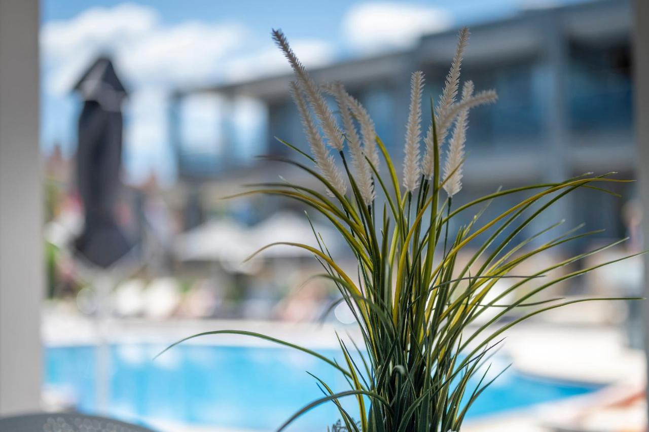 Dionysos Hotel & Suites Chaniotis Extérieur photo