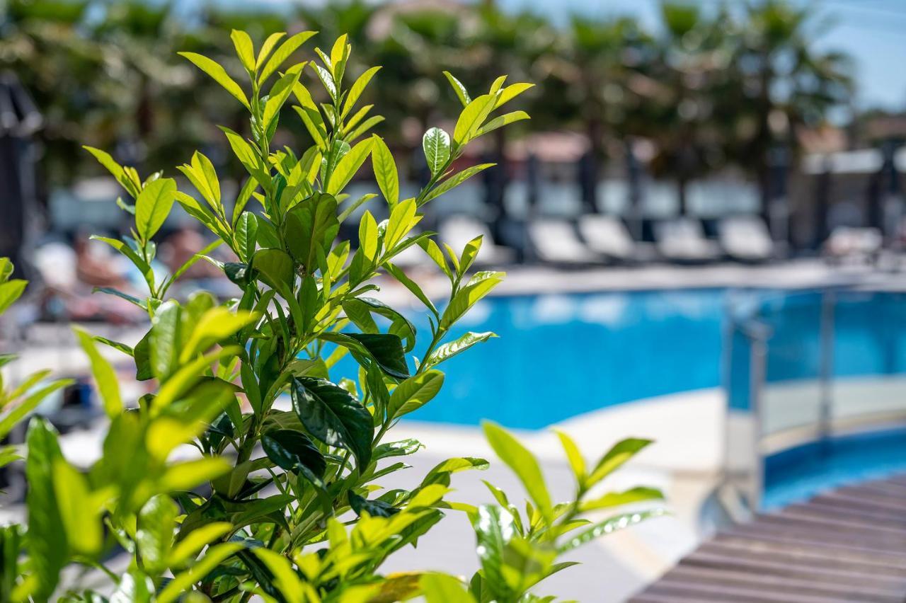 Dionysos Hotel & Suites Chaniotis Extérieur photo